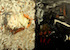 Polar Vortex Diptych