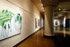 exhibit